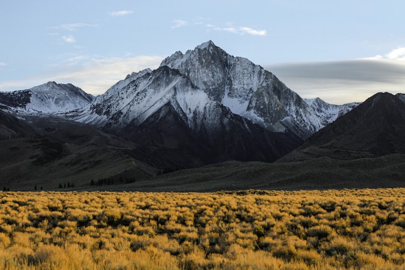 Altitude Alert: Managing AMS and Safety on Remote Trails